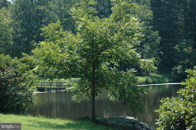 302 Little Long Mountain Road Huntly, VA 22627 - Photo 25 of 26 Serenity