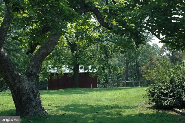 302 Little Long Mountain Road Huntly, VA 22627 - Photo 9 of 26 Back Yard