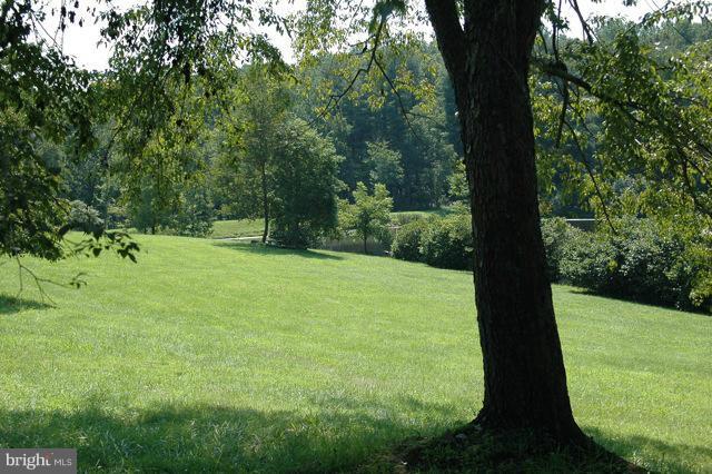 302 Little Long Mountain Road Huntly, VA 22627 - Photo 10 of 26 Lower Lawn