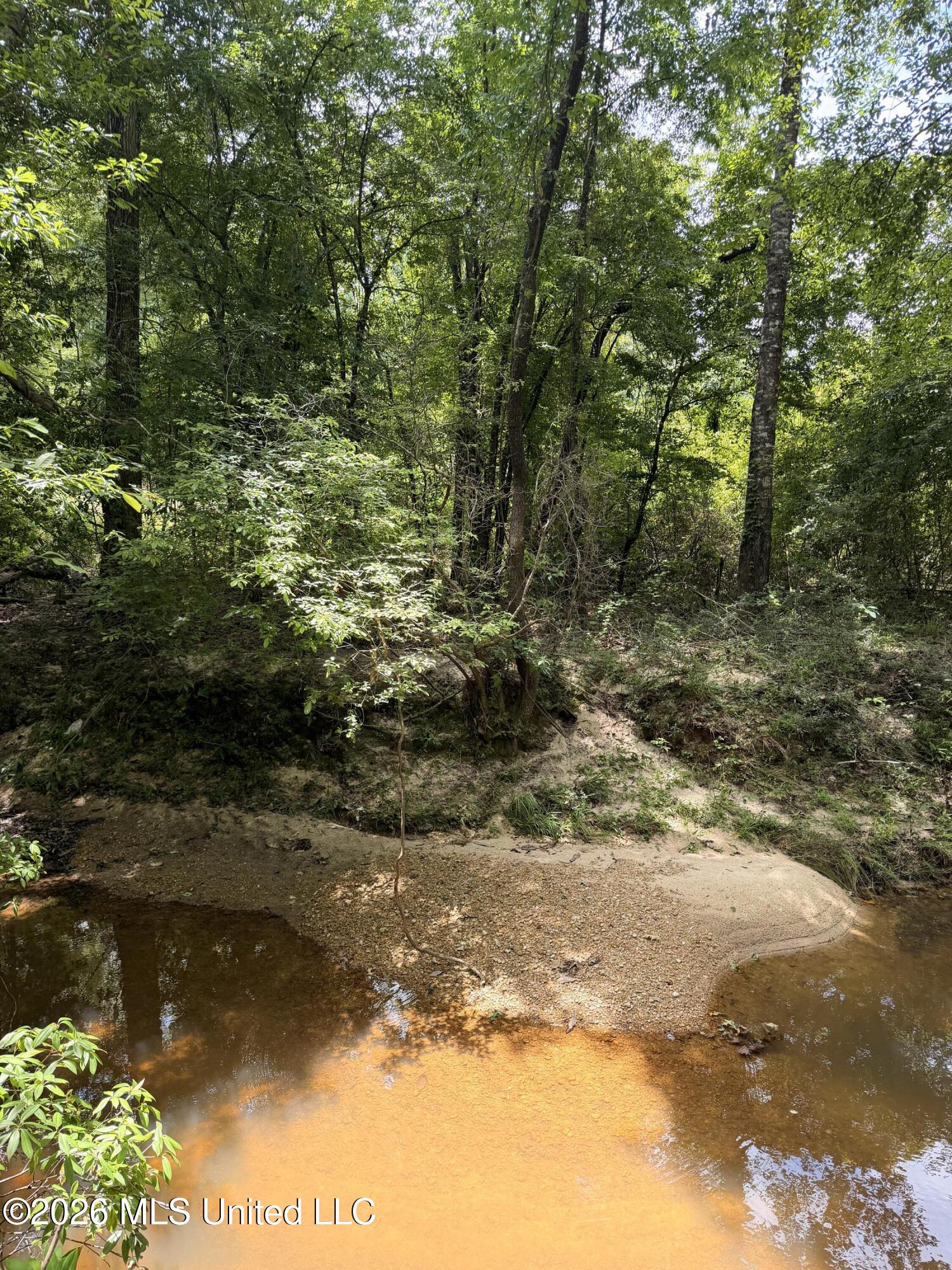River Road Liberty, MS 39645 - Photo 2 of 11 IMG_5742