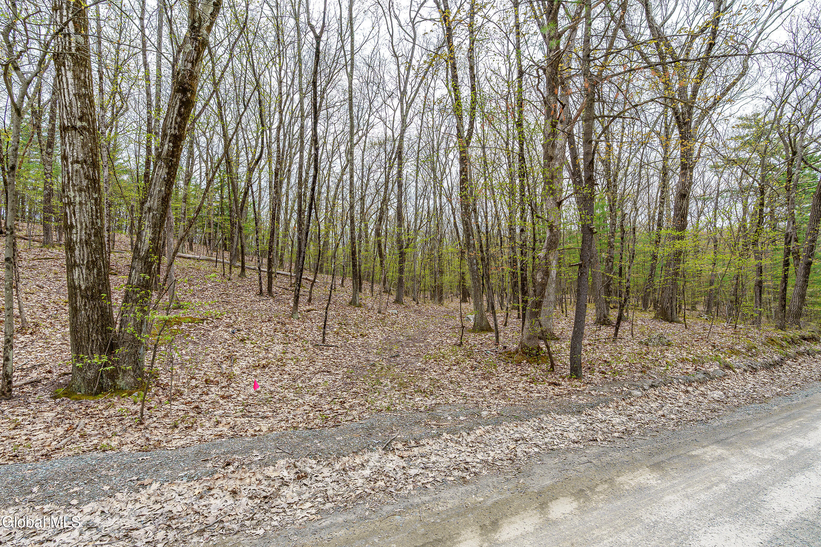 83 Maschodack Road Nassau, NY 12123 - Photo 19 of 26 039-Mashodack-Rd-Nassau-NY-12123