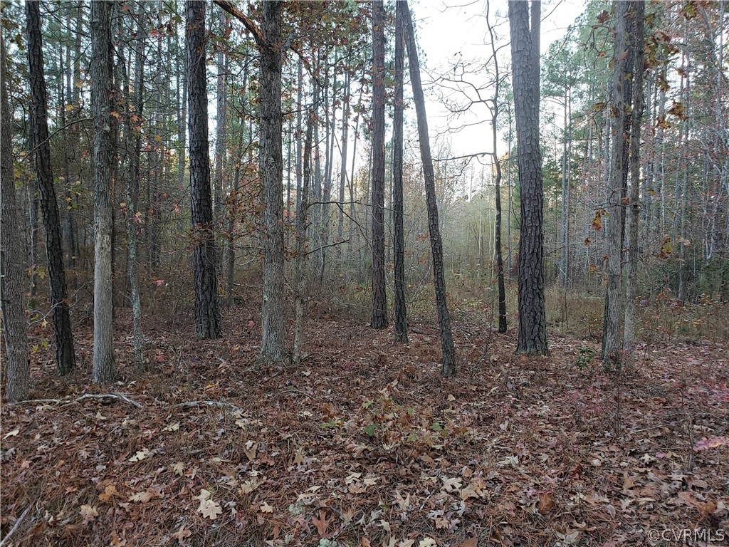 21601 Sappony Road Moseley, VA 23120 - Photo 3 of 3