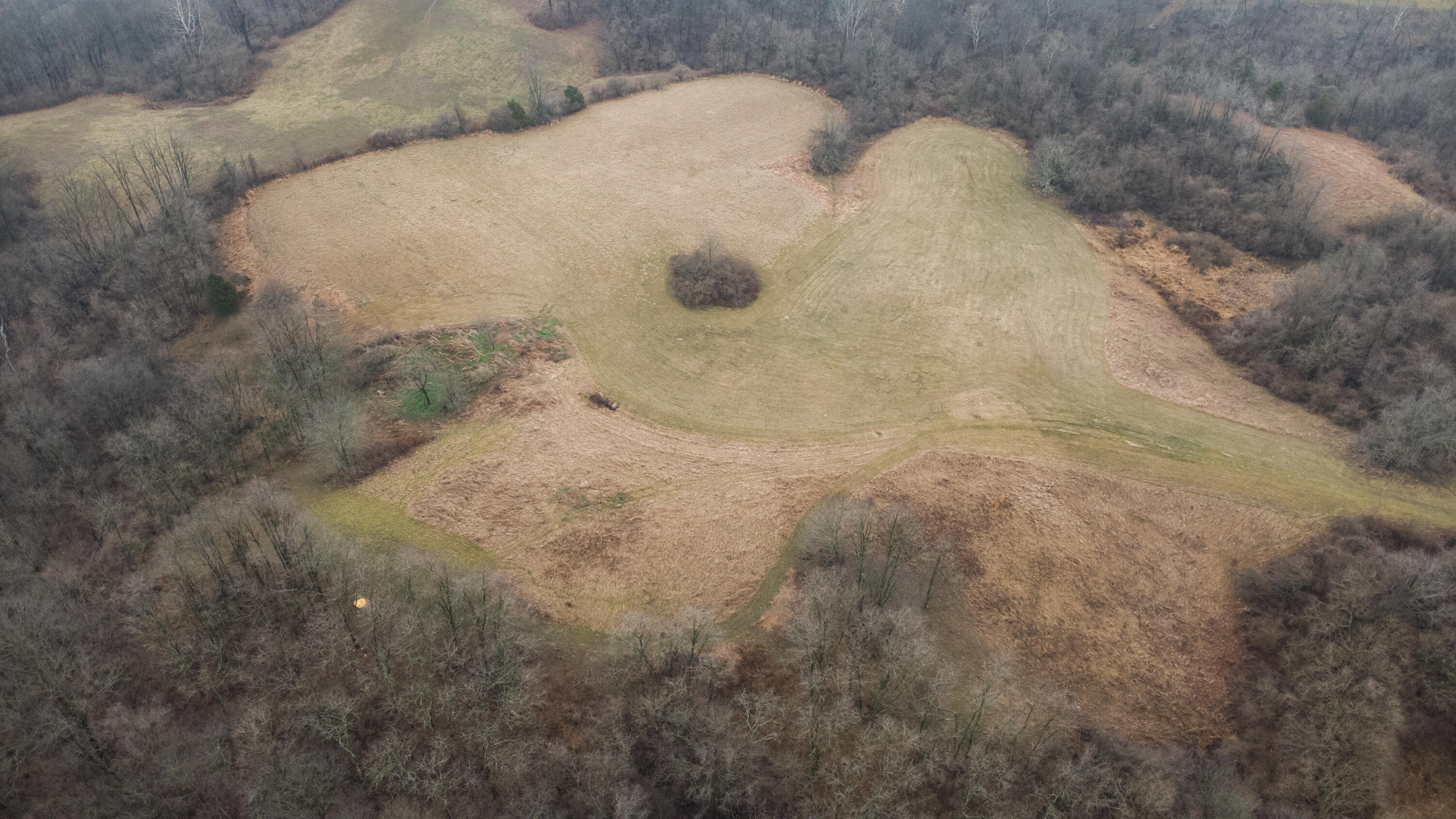 7812 East Bend Road Burlington, KY 41005 - Photo 44 of 47