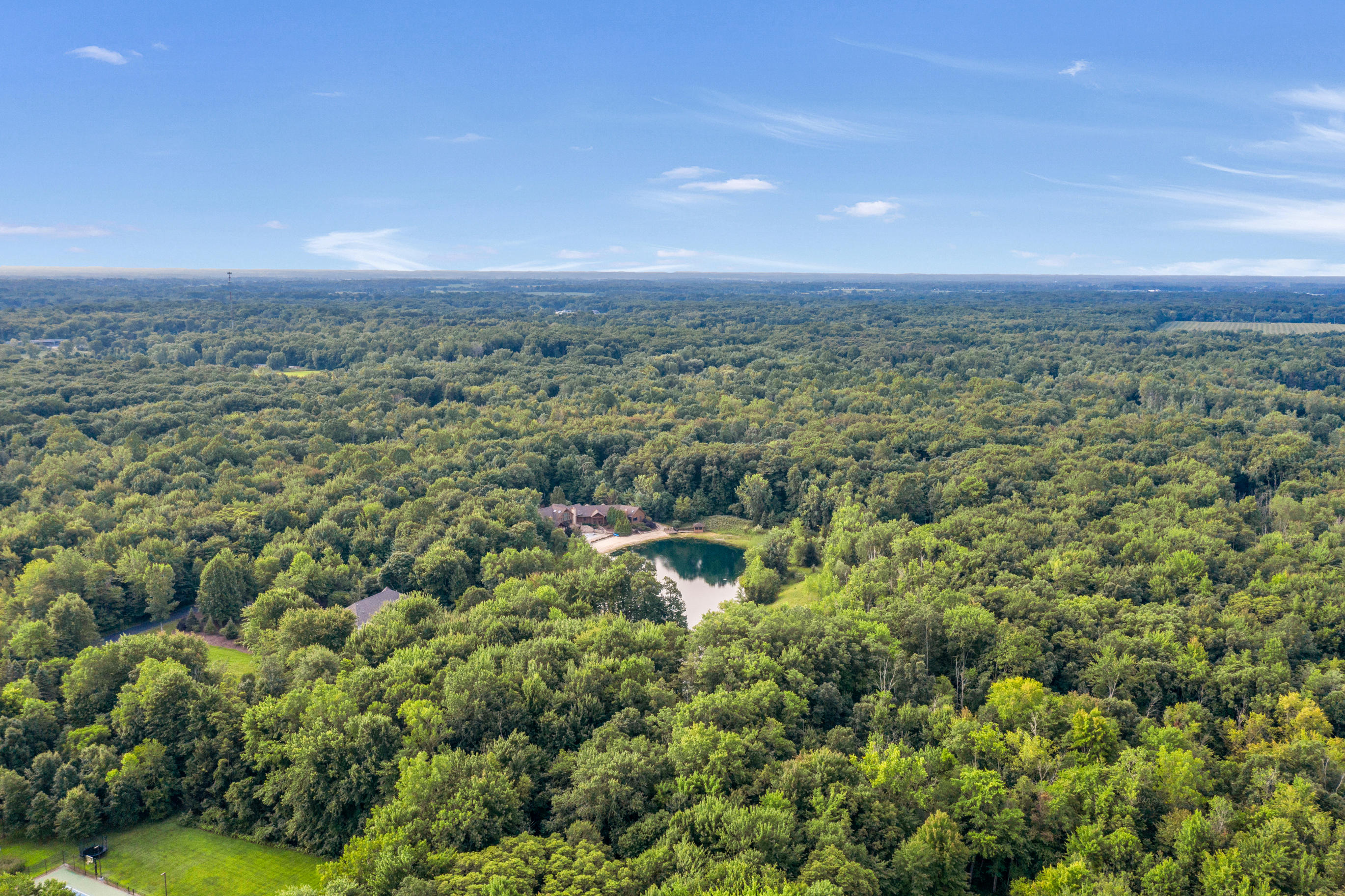 13595 Red Arrow Highway, Unit 2 Sawyer, MI 49125 - Photo 42 of 45 DJI_0761
