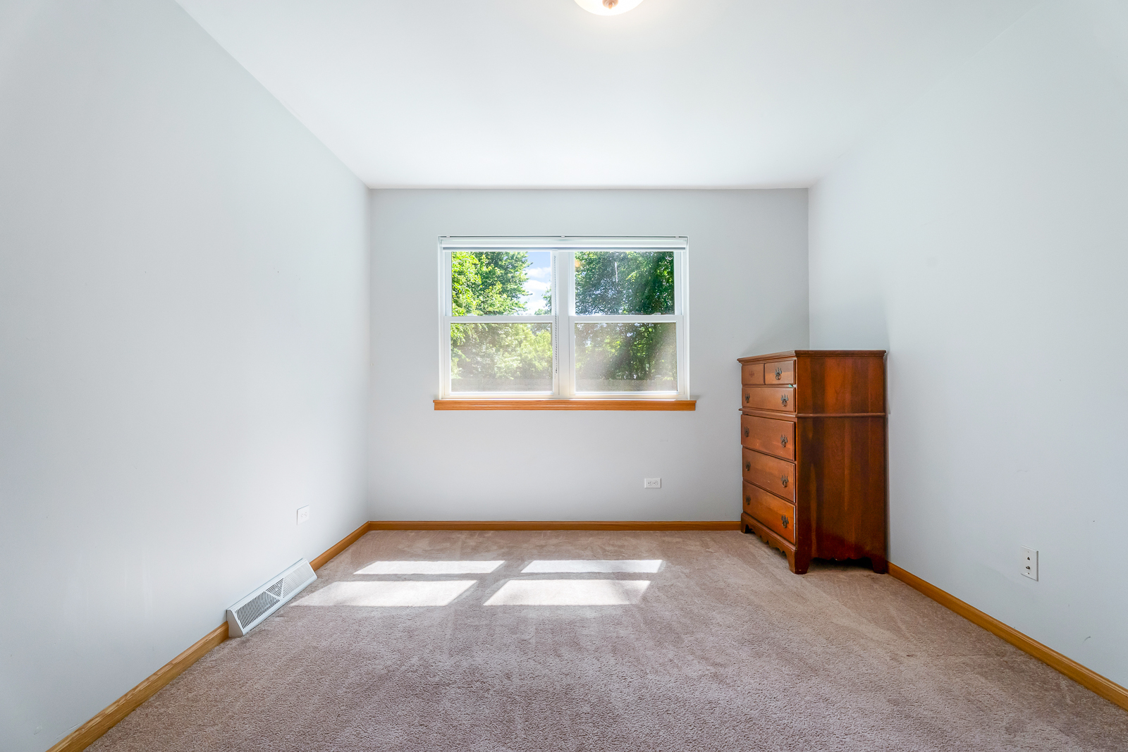926 South Cedar Road New Lenox, IL 60451 - Photo 14 of 29