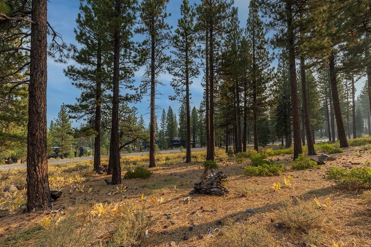 8297 Ehrman Drive Truckee, CA 96161 - Photo 11 of 23 a view of outdoor space with lots of trees
