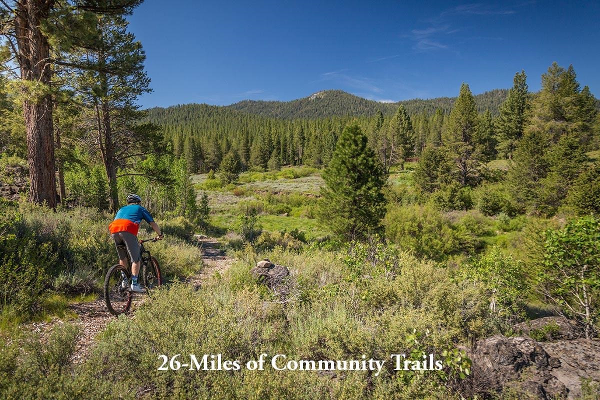 8297 Ehrman Drive Truckee, CA 96161 - Photo 22 of 23 a view of outdoor space and a garden