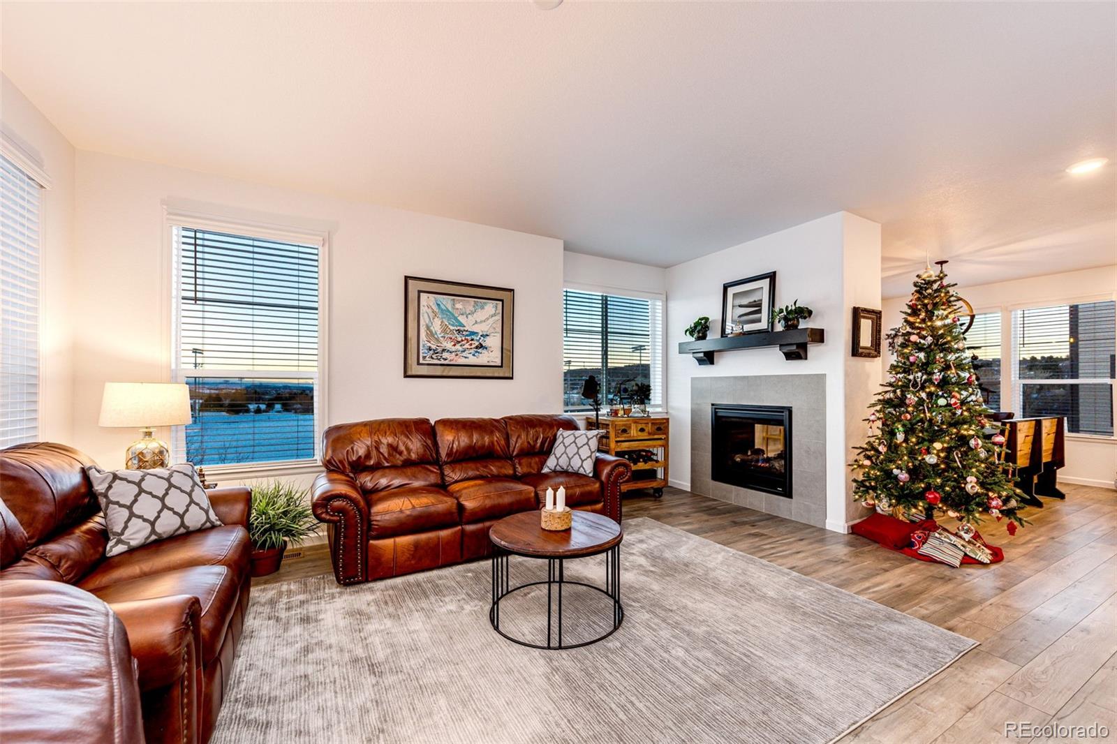 1532 Castle Creek Circle Castle Rock, CO 80104 - Photo 9 of 39 a living room with furniture and a fireplace