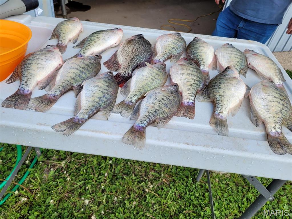 18904 Monroe Road Perry, MO 63462 - Photo 3 of 12