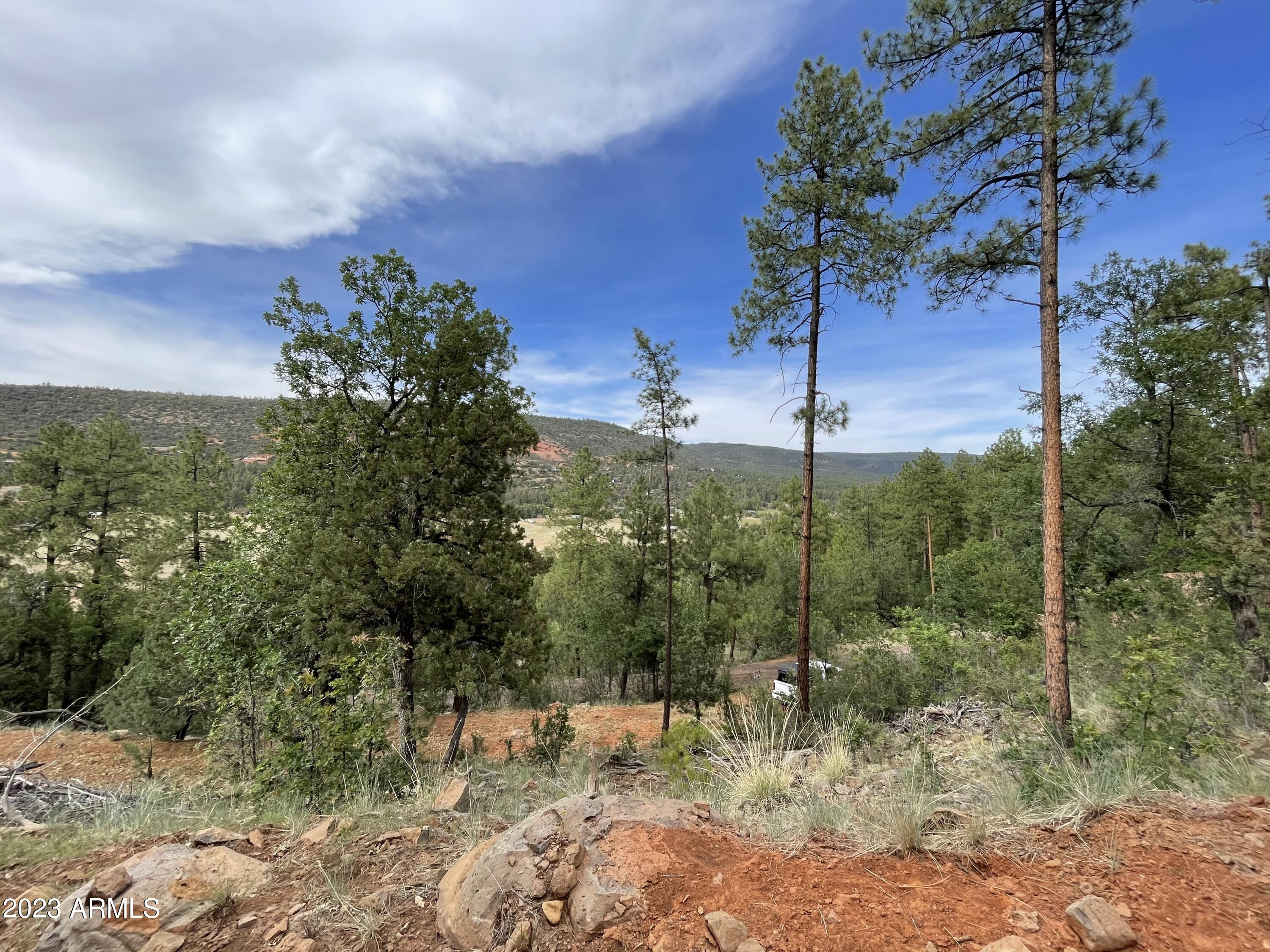 4770 Pine Shadows Lane, Unit 2 Pine, AZ 85544 - Photo 2 of 5 a view of a outdoor space