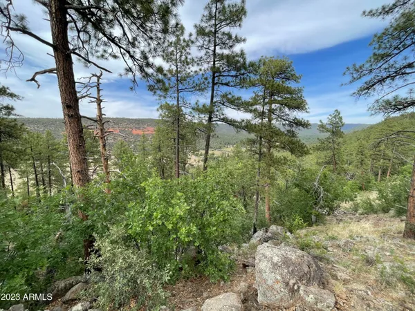 $299,000 | 4770 Pine Shadows Lane, Unit 2, Pine, AZ 85544