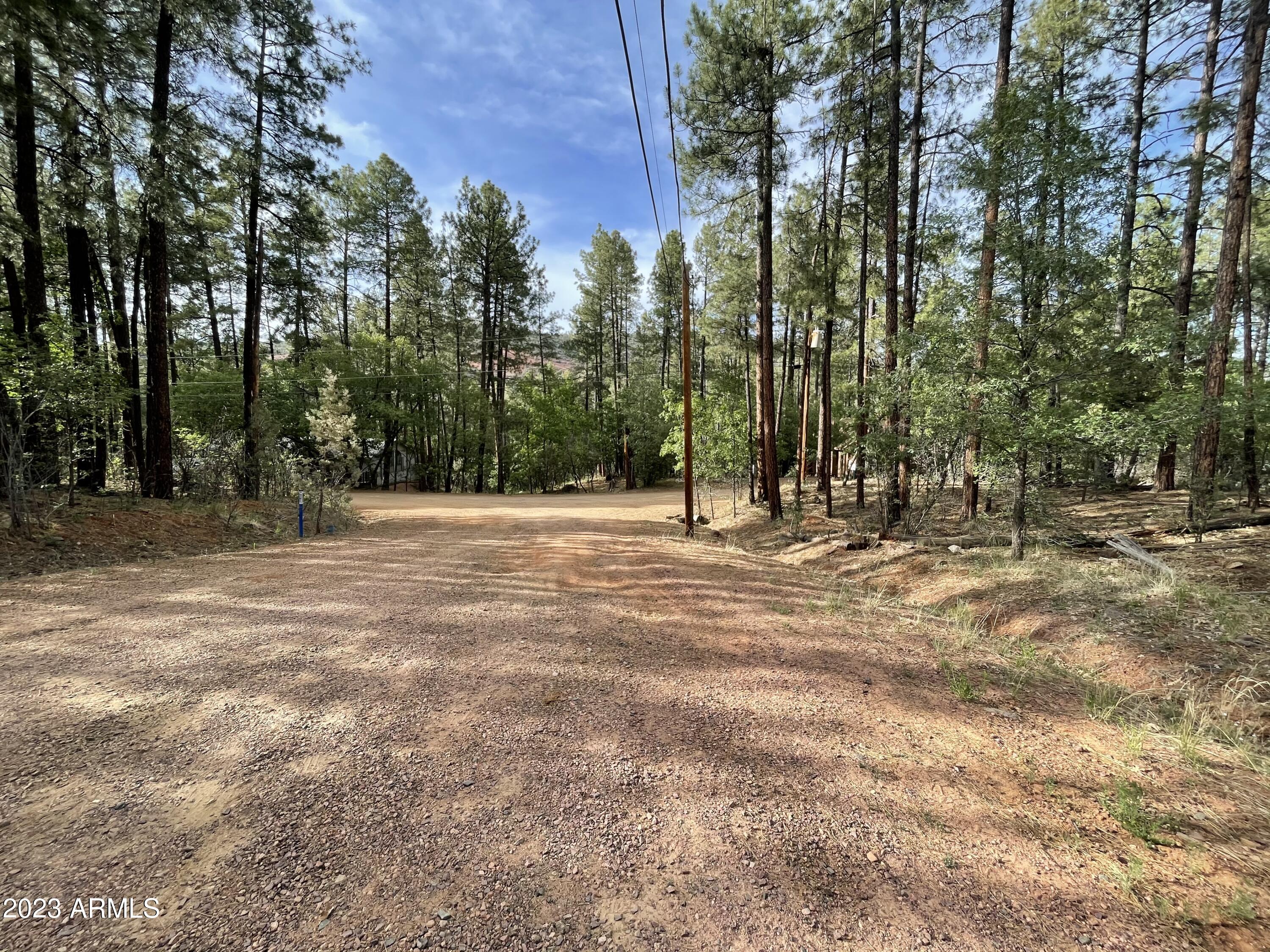 4770 Pine Shadows Lane, Unit 2 Pine, AZ 85544 - Photo 5 of 5 a view of outdoor space with trees