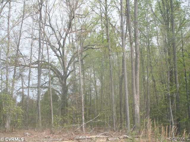 10 Winding Ridge Way Bumpass, VA 23024 - Photo 4 of 16 Gallery Image 4