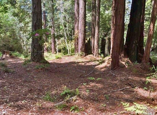 High-speed, fiber optic Internet availability and underground utilities make this property a great opportunity to custom build your home and work office on the northern coast.