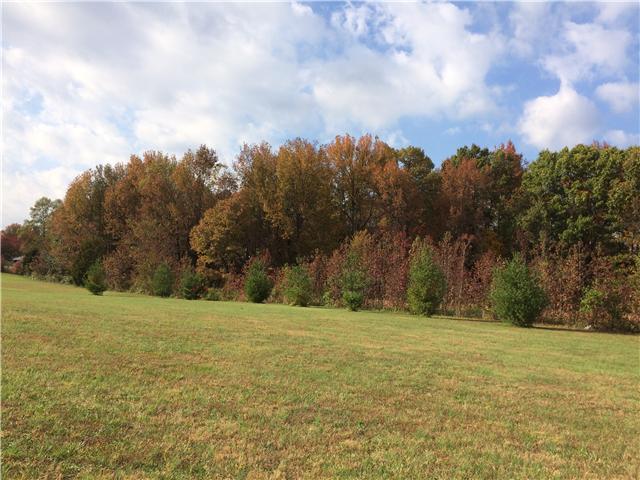776 McCurdy Road White House, TN 37188 - Photo 1 of 3 Gallery Image 1
