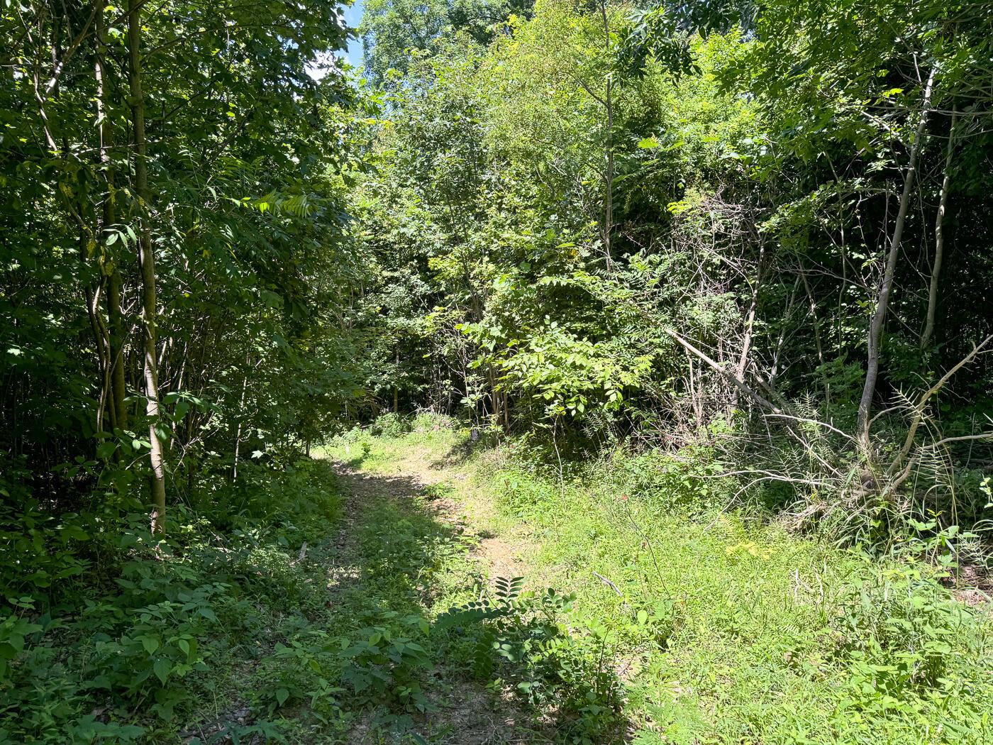 4313 Flint Ridge Road Northeast, Unit INT RIDGE TRACT 18 ACRE) Crooksville, OH 43731 - Photo 20 of 53 CT-20
