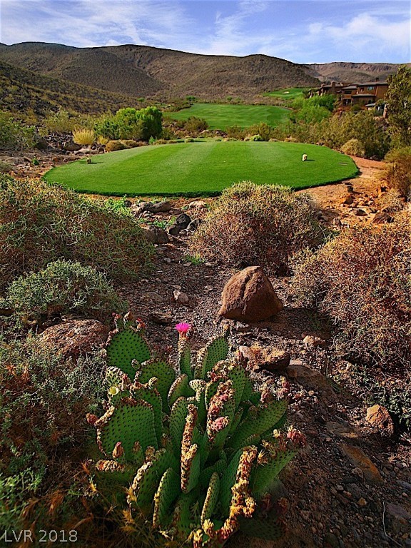 599 Cityview Ridge Drive Henderson, NV 89012 - Photo 13 of 28