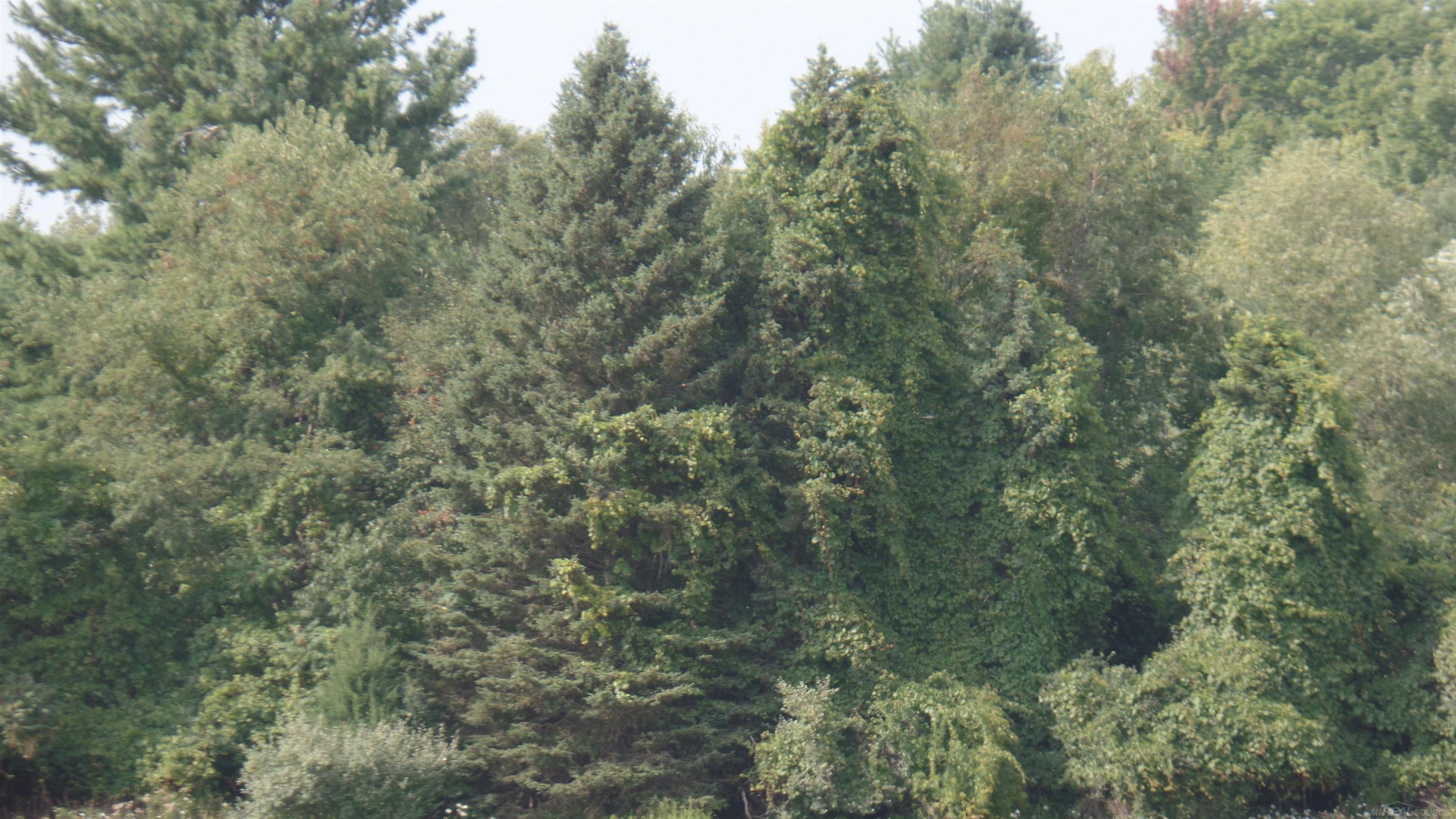 0 French Line Road Carsonville, MI 48419 - Photo 23 of 25