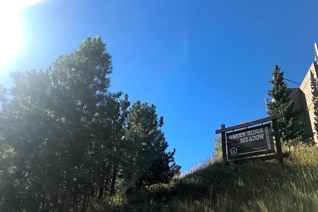 31250 John Wallace Road Evergreen, CO 80439 - Photo 4 of 7