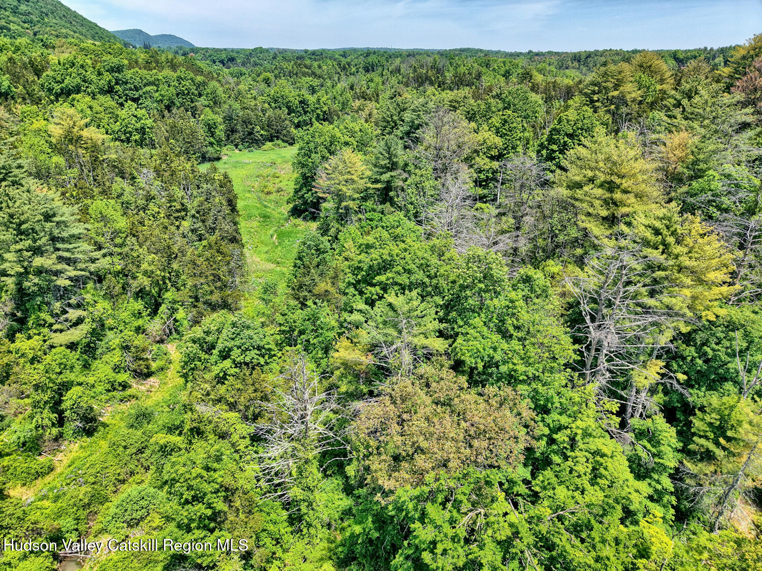 760 Vedder Mountain Road Catskill, NY 12414 - Photo 68 of 80 DJI_20260604125844_0416_D_7_D_8_D_easyHD