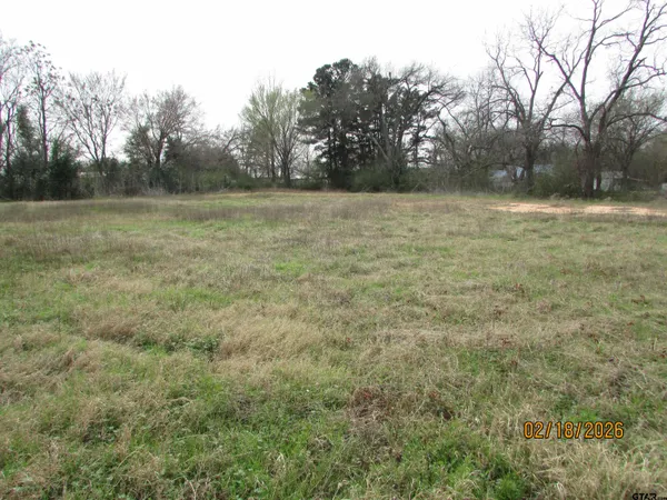 a view of a field with trees in background