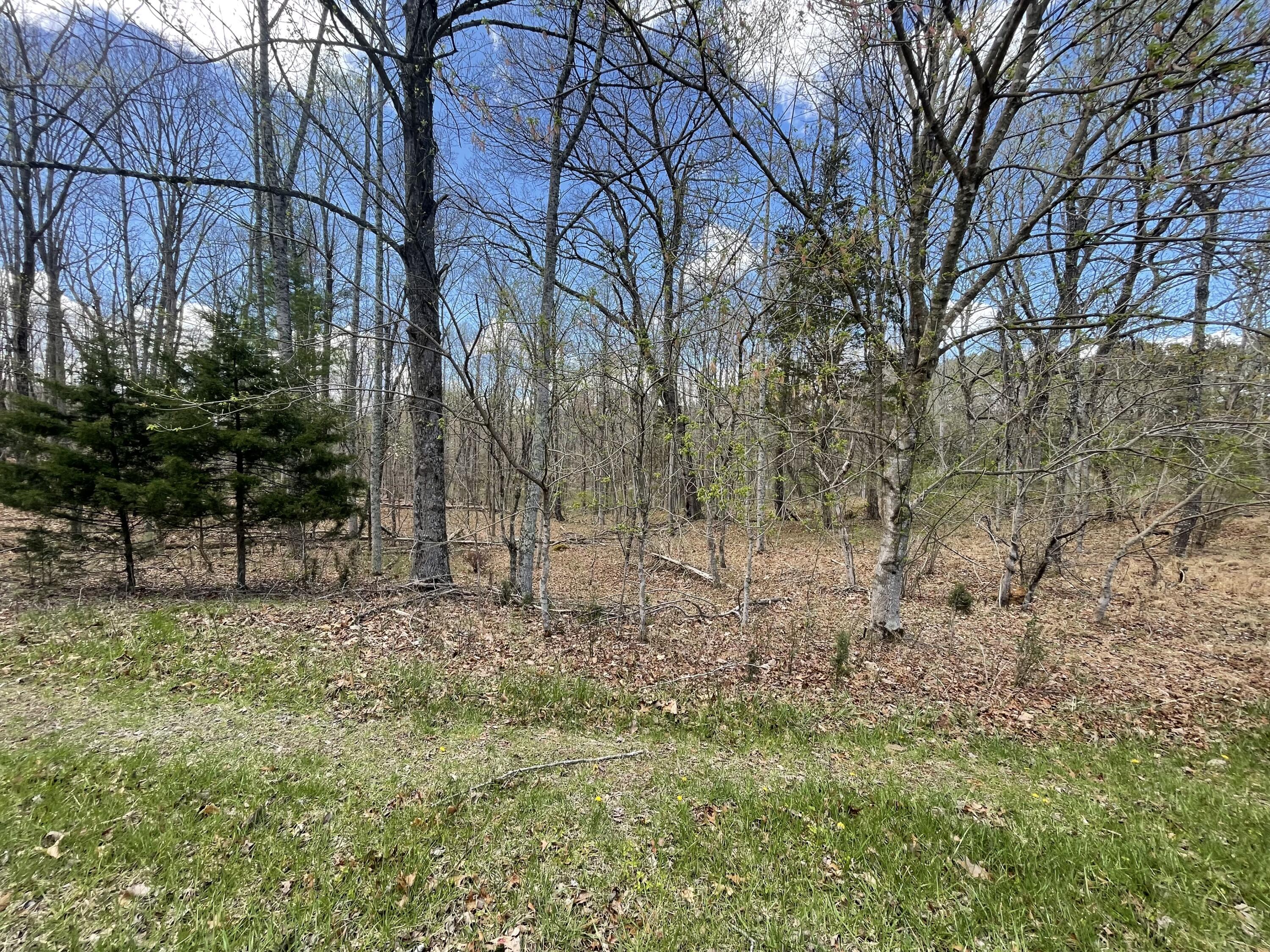 0 Otterville Road Goode, VA 24556 - Photo 3 of 36 Photo Apr 04 2024, 2 39 25 PM