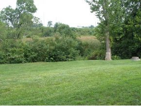 568 Gray Station Road, Unit 9 Gray, TN 37615 - Photo 14 of 22 Fabulous view out back