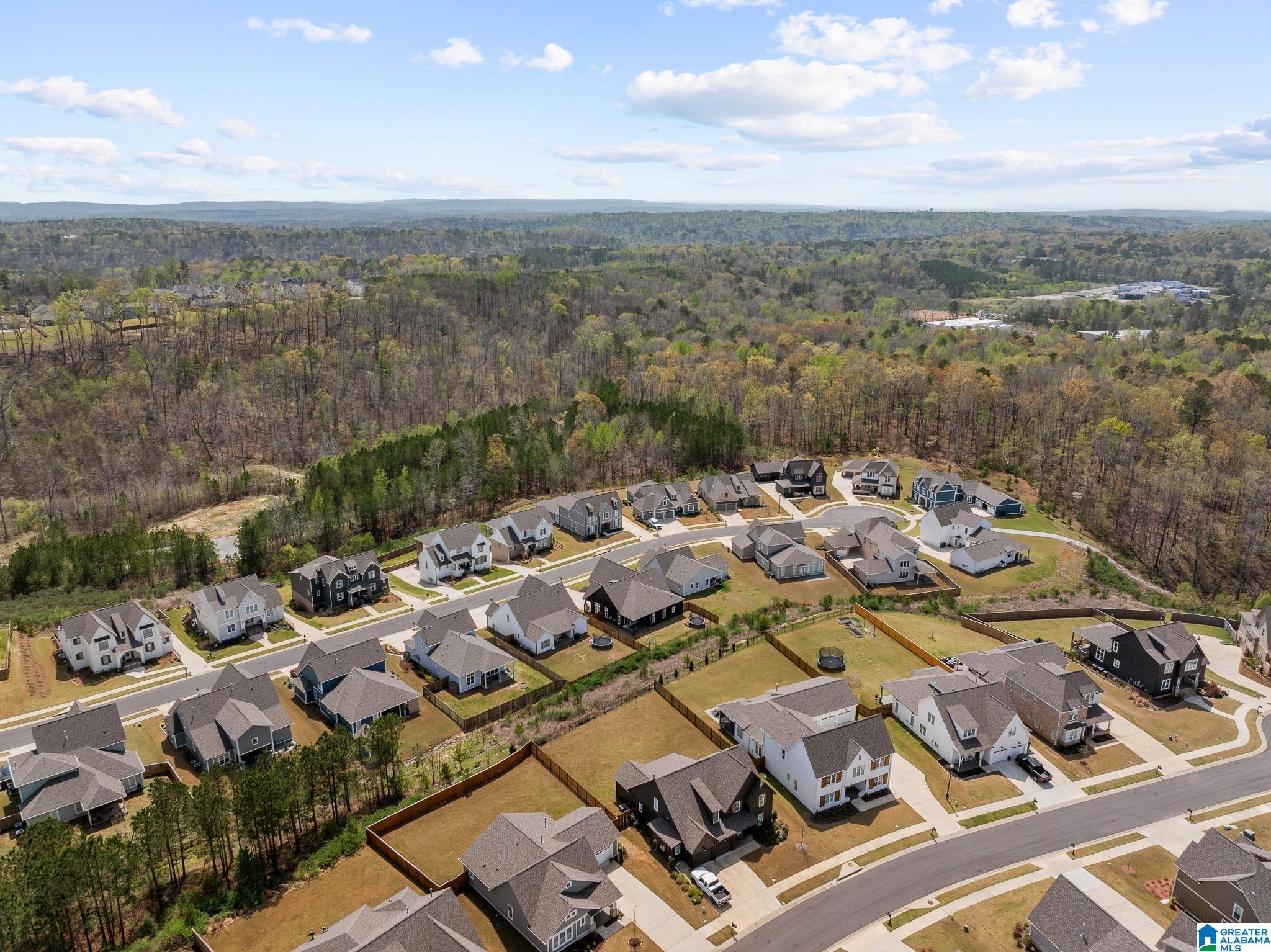 7746 Raleigh Drive Trussville, AL 35173 - Photo 51 of 57