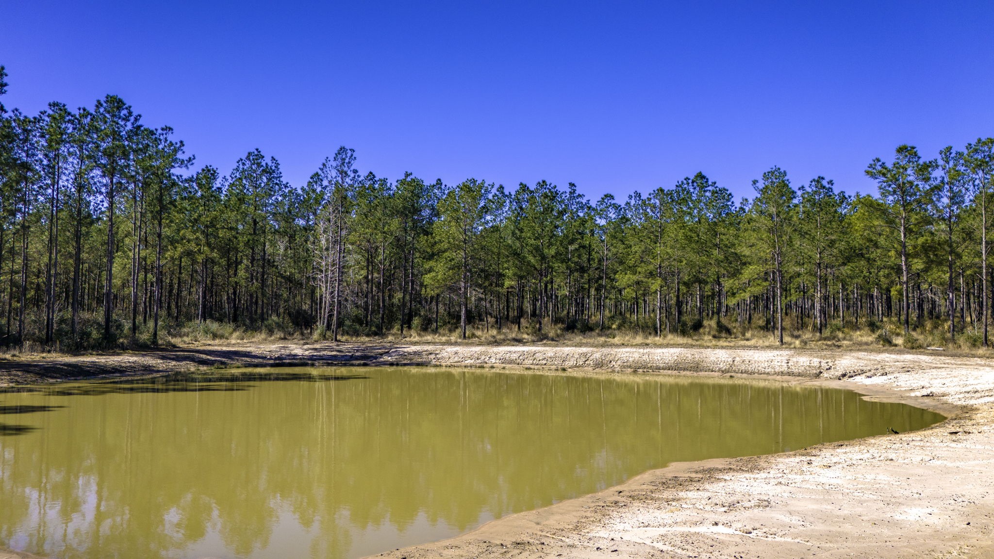 45 South King Ranch Road Onalaska, TX 77360 - Photo 12 of 15 a view of a swimming pool with an outdoor space and seating area