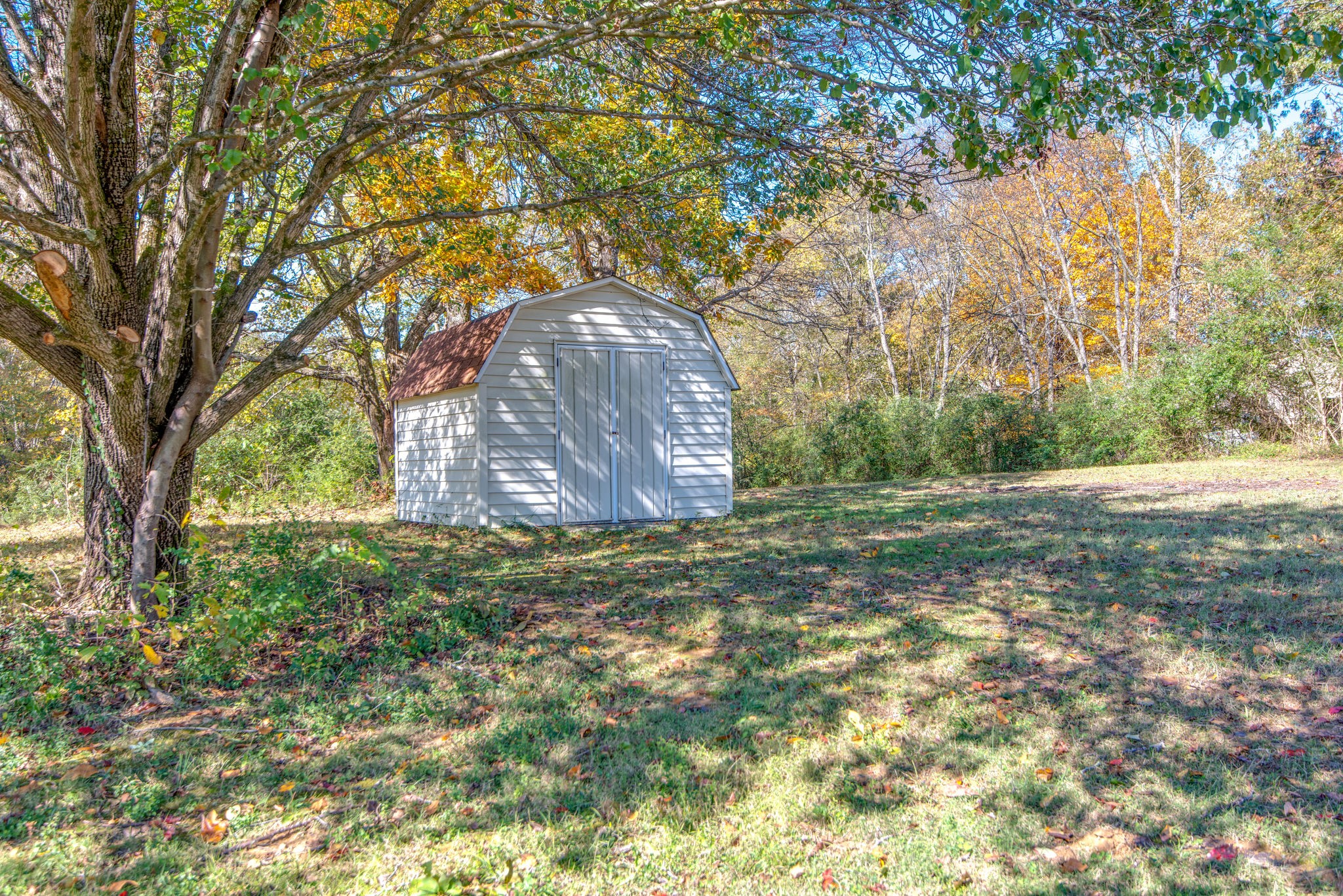 2154 Lake Road Greenbrier, TN 37073 - Photo 22 of 24 a view of a yard with a tree