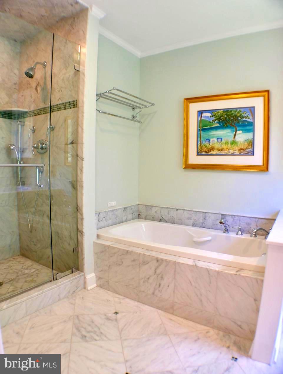 1066 Beaumont Road Berwyn, PA 19312 - Photo 28 of 40 Master Bath Shower and Tub
