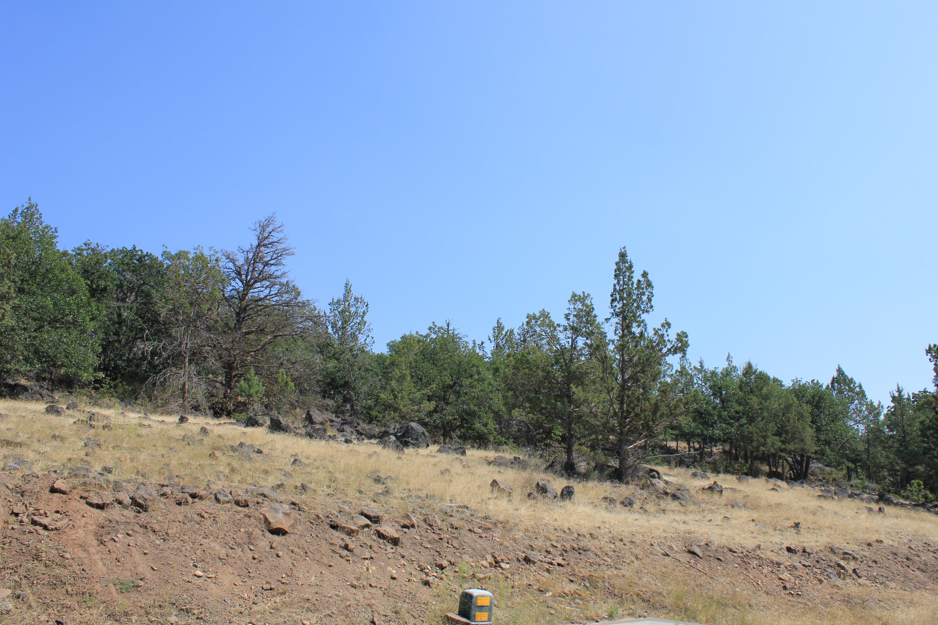 Lot 721 Kestrel Road Klamath Falls, OR 97601 - Photo 3 of 5 IMG_8477