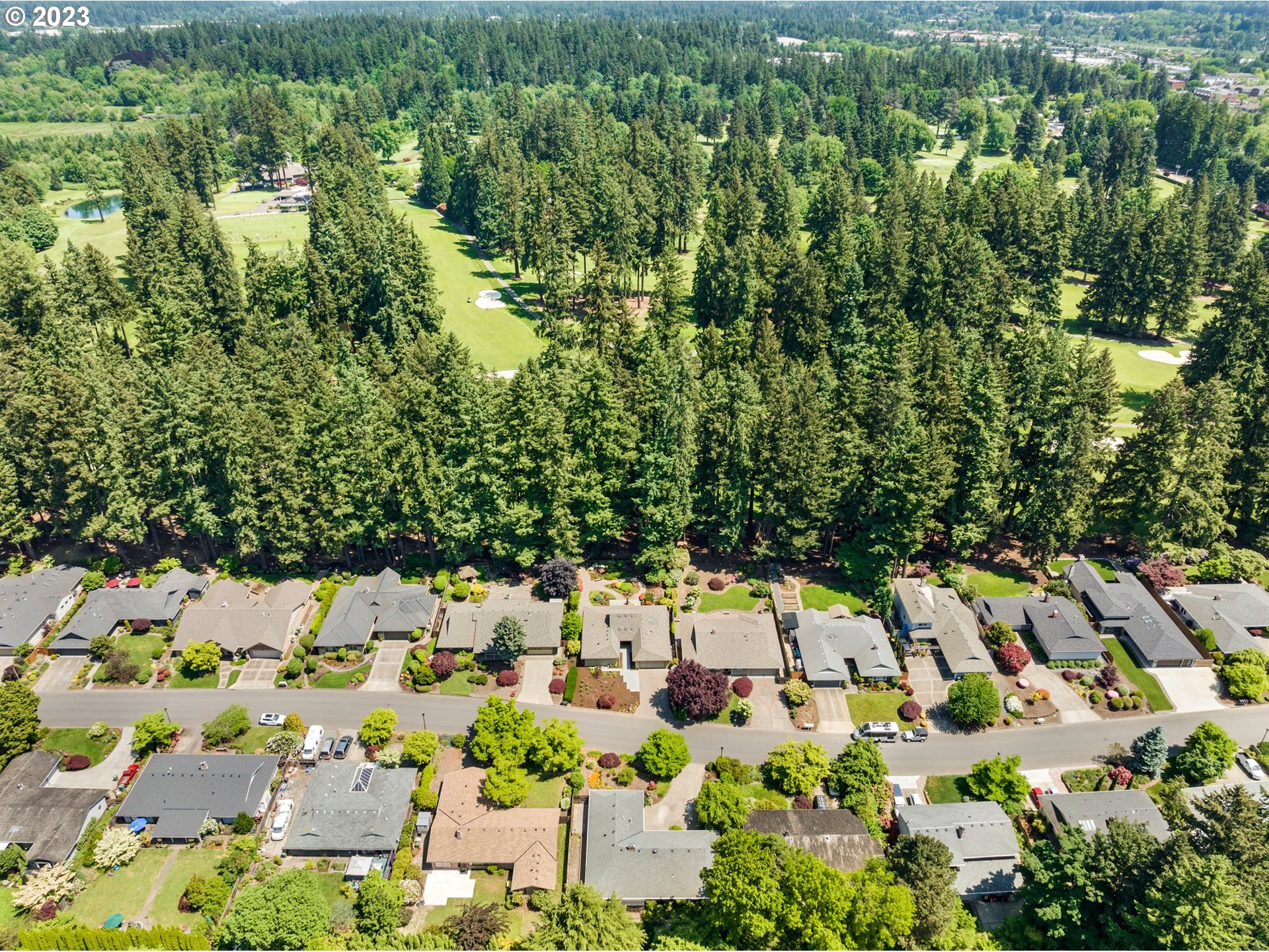 17875 Southwest Shawnee Trail Tualatin, OR 97062 - Photo 42 of 44 a view of yard and mountain