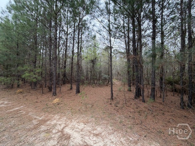 1 Race Path Road Rincon, GA 31326 - Photo 2 of 10