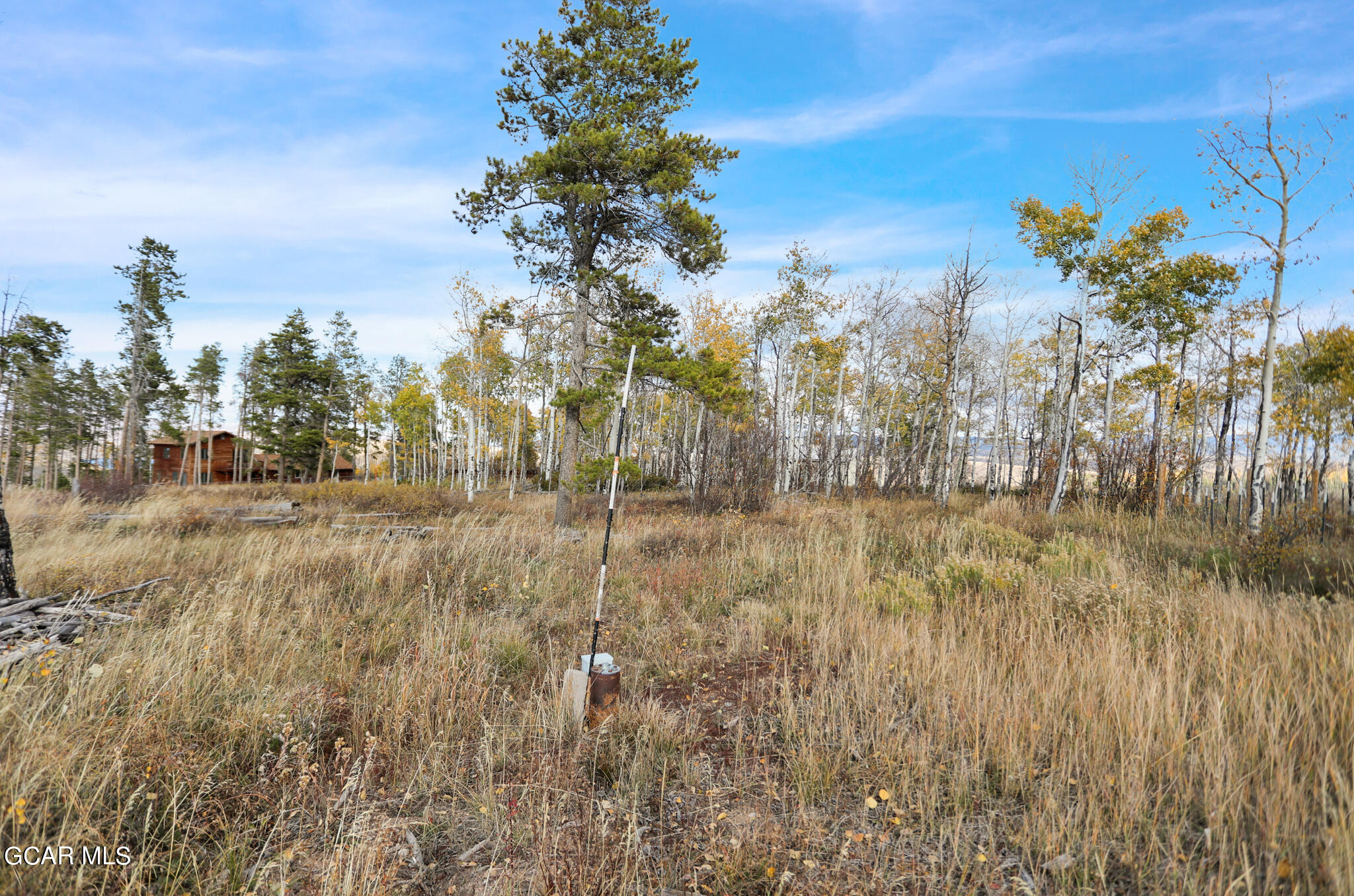91 3rd Avenue Parshall, CO 80468 - Photo 29 of 48 a view of a yard with trees in the background