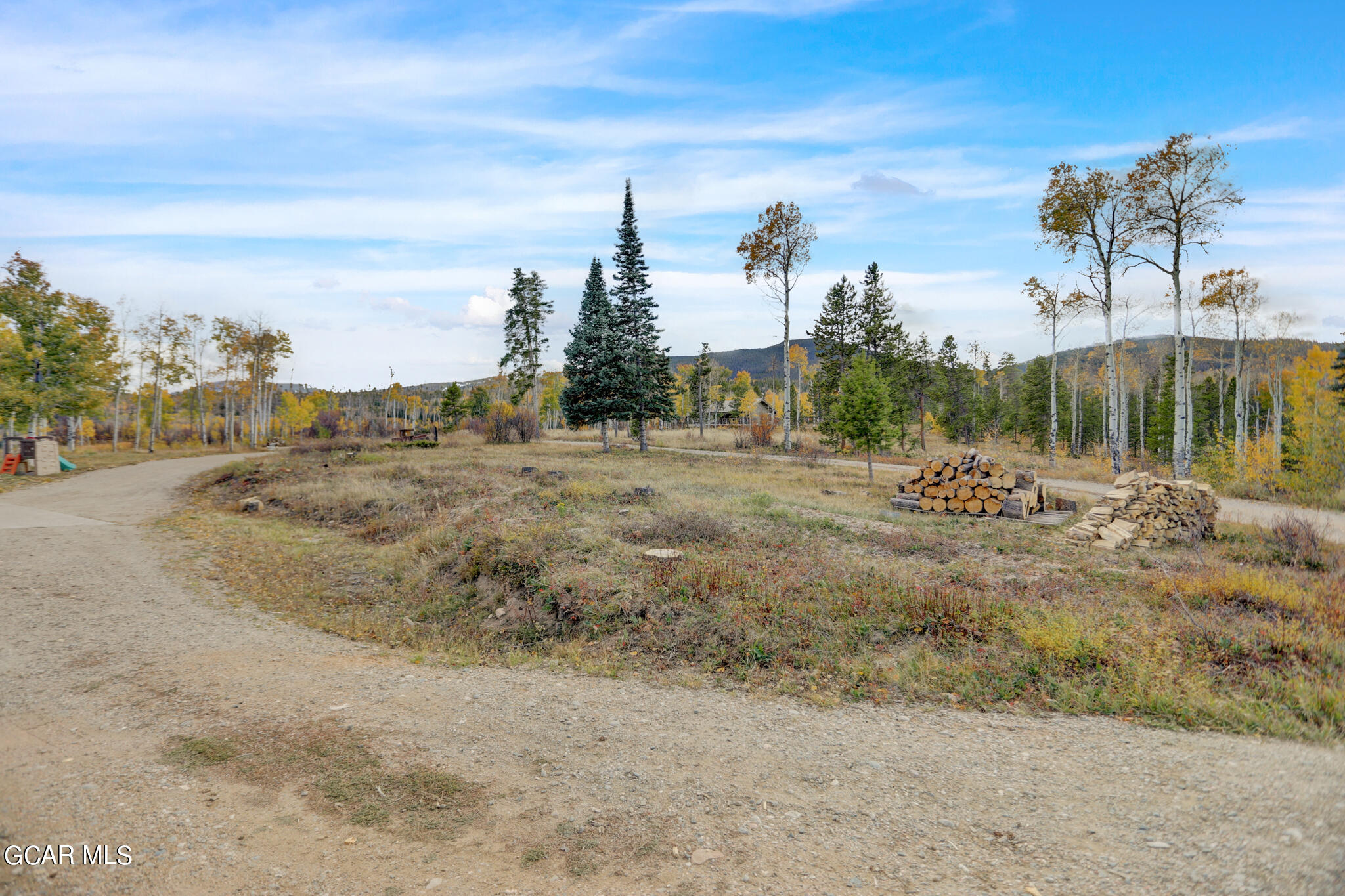 91 3rd Avenue Parshall, CO 80468 - Photo 32 of 48 a view of a dry yard with trees