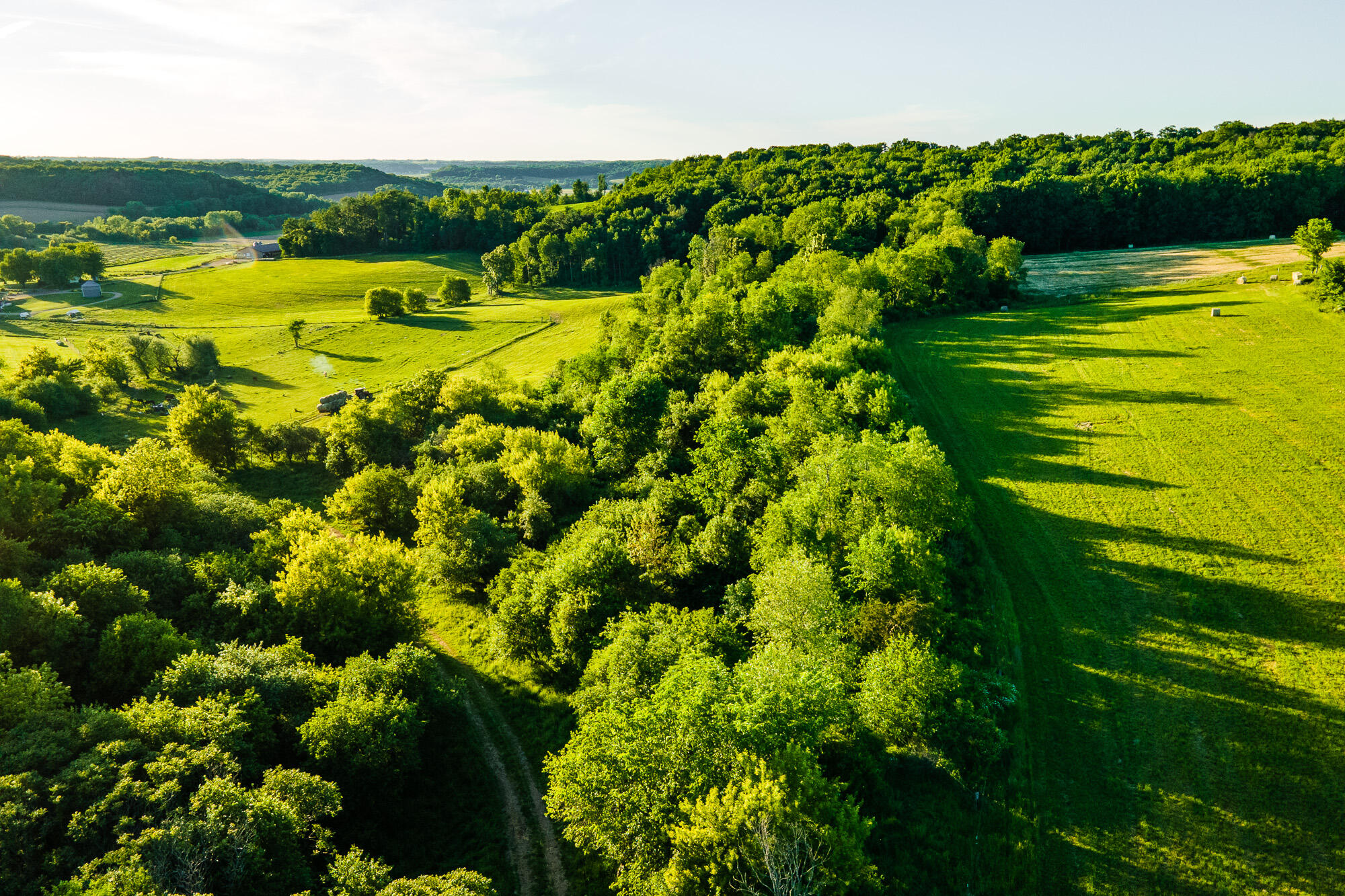 Lt1 Eli Valley Road Loganville, WI 53943 - Photo 2 of 66 Sauk-County-WI-90-Acres-Land-For-Sale-Su