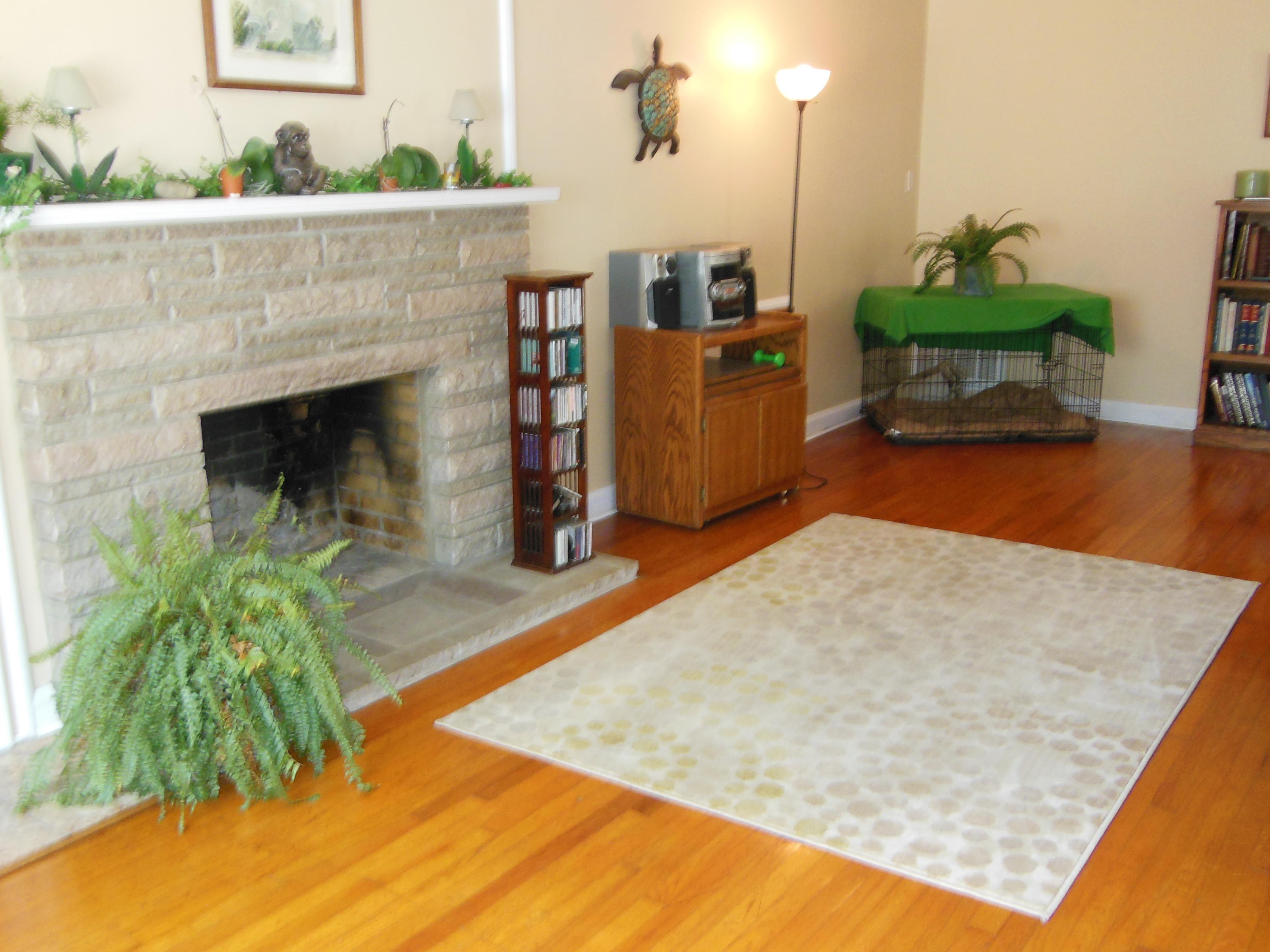 304 Cherry Street Sevierville, TN 37862 - Photo 4 of 38 028