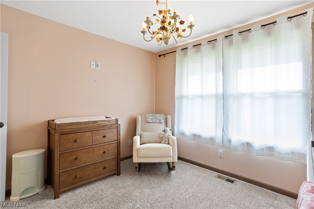 8810 Congress Road Lodi, OH 44254 - Photo 19 of 30 2nd Bedroom