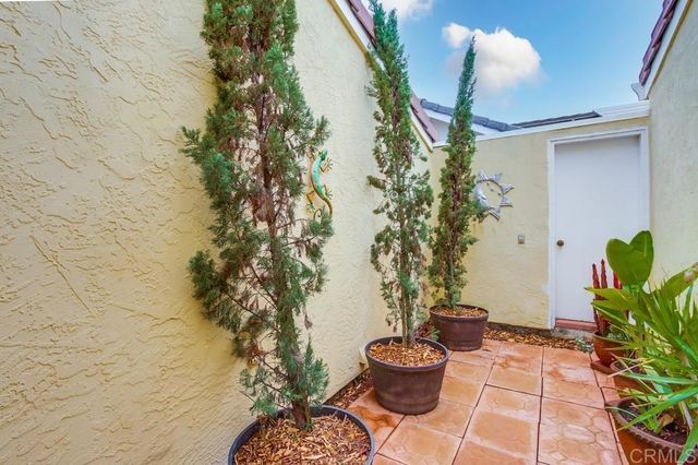 a potted plant sitting in front of a house