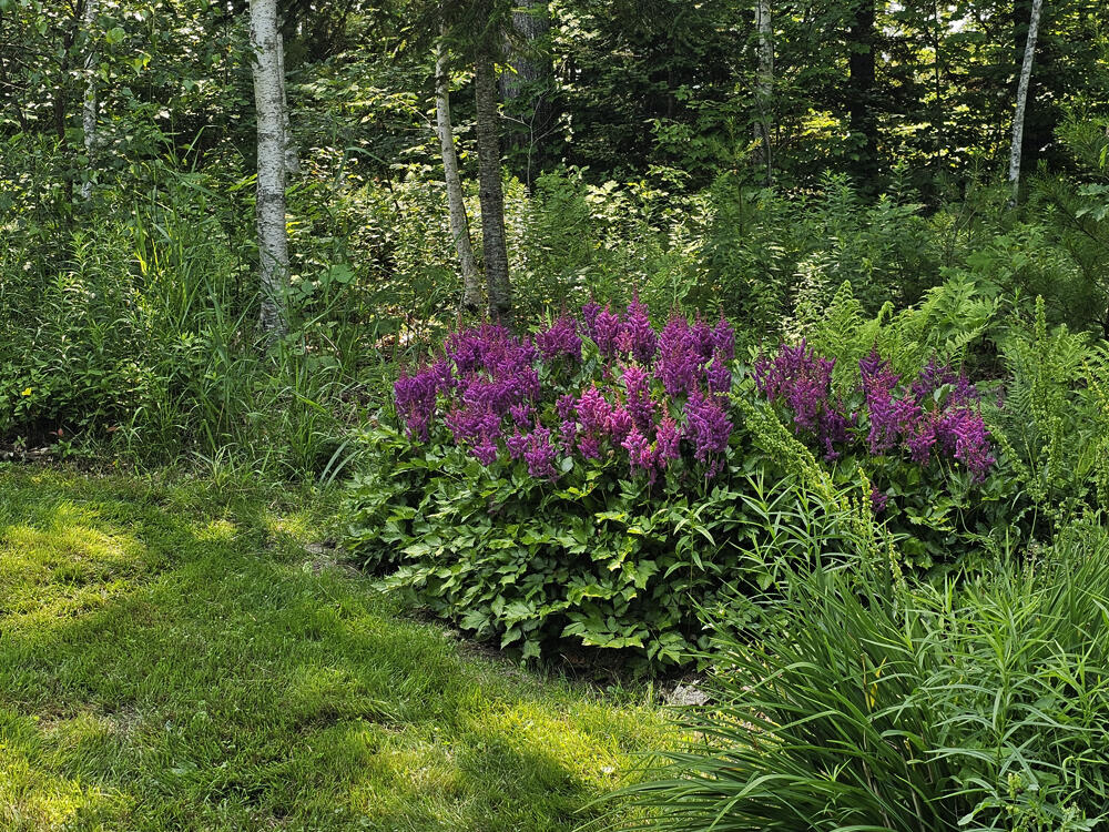 150 Heath Road Bremen, ME 04551 - Photo 90 of 95 Gardens-2
