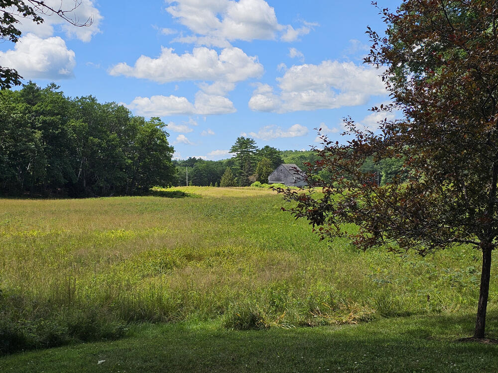 150 Heath Road Bremen, ME 04551 - Photo 94 of 95 Meadow-5