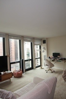 1 East Scott Street, Unit 1105 Chicago, IL 60610 - Photo 9 of 16