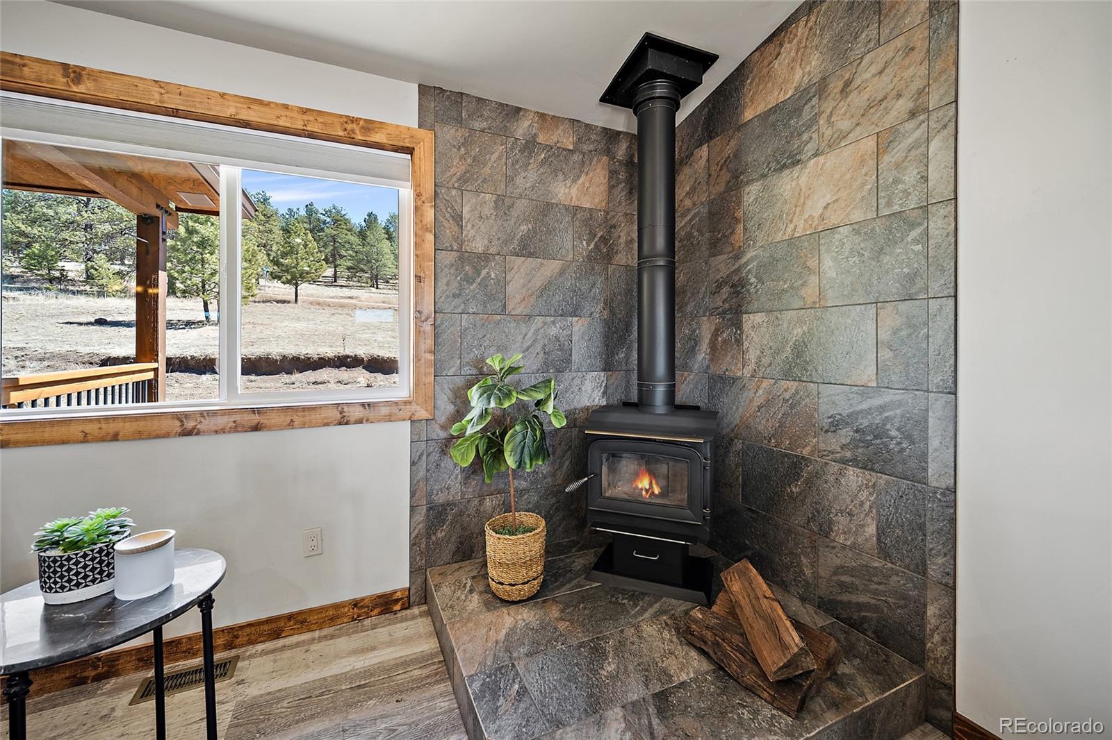 186 Empire Road Florissant, CO 80816 - Photo 11 of 46