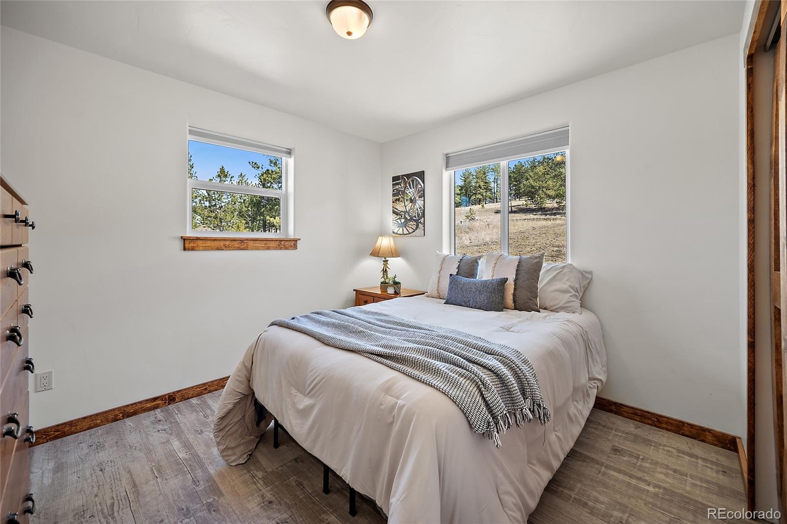 186 Empire Road Florissant, CO 80816 - Photo 20 of 46