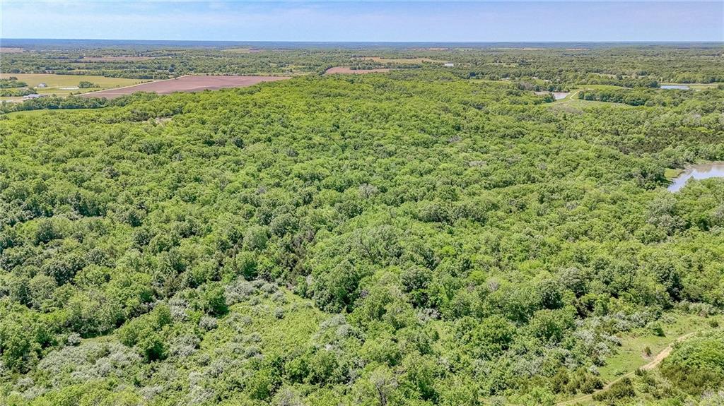 Lot 7 Deer View Estates Road Holden, MO 64040 - Photo 2 of 6