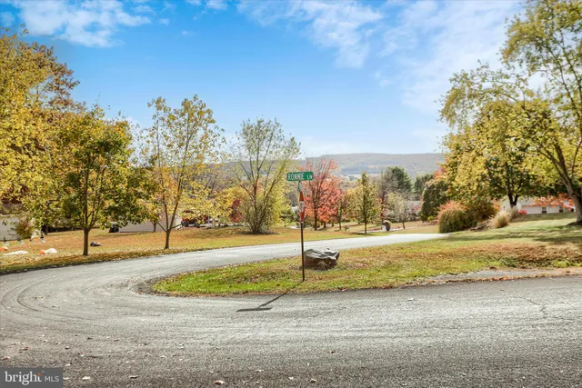 a view of a yard with a house