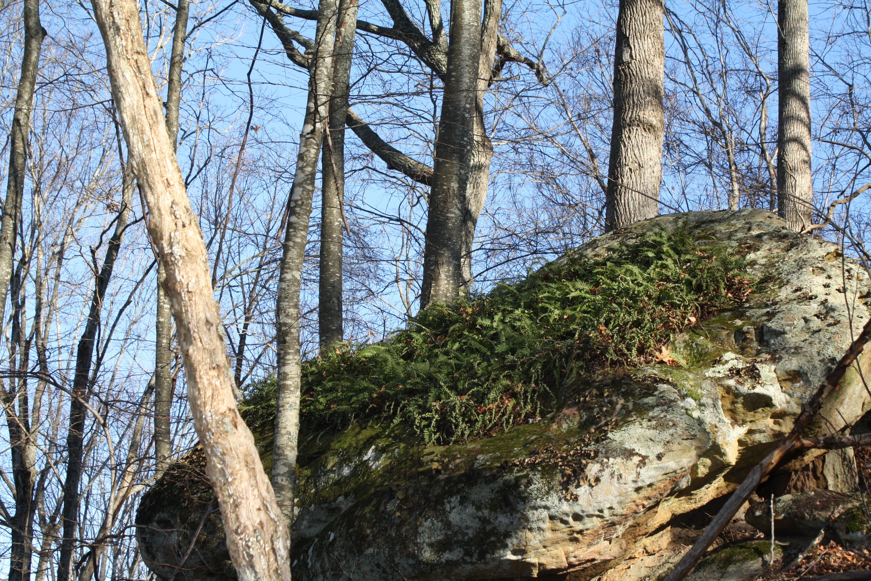 Zion Mountain Road Hinton, WV 25951 - Photo 49 of 73 Gallery Image 49