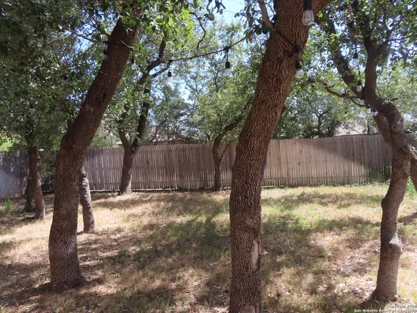 a view of backyard with tree