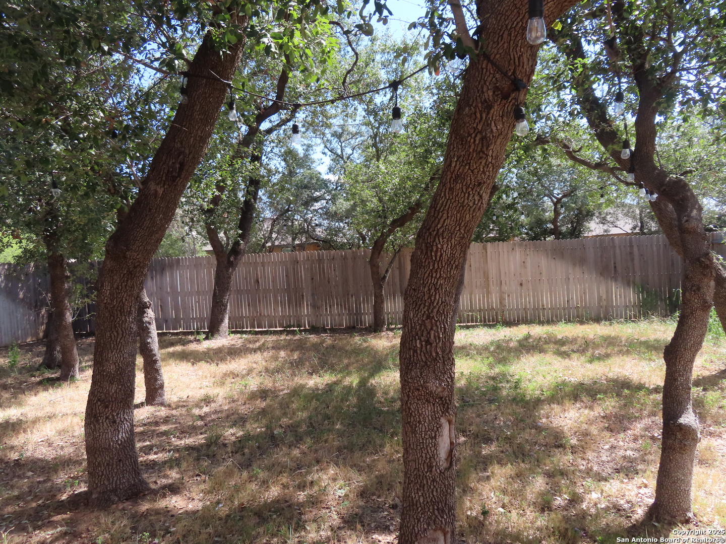 22150 Approach San Antonio, TX 78261 - Photo 18 of 18 a view of backyard with tree